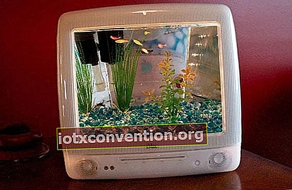 Ein Fernsehbildschirm wird zum Aquarium