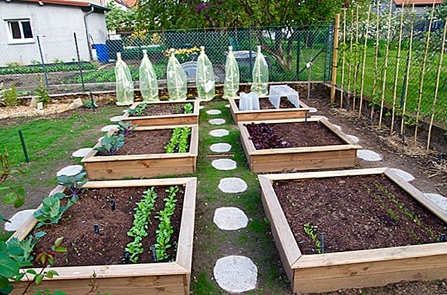4 Tips Mempersiapkan Kebun Sayur Anda Di Musim Semi.