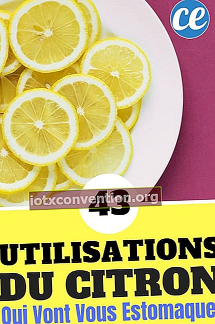 Hier sind 43 Anwendungen und Vorteile von Zitrone, die Sie beeindrucken werden: