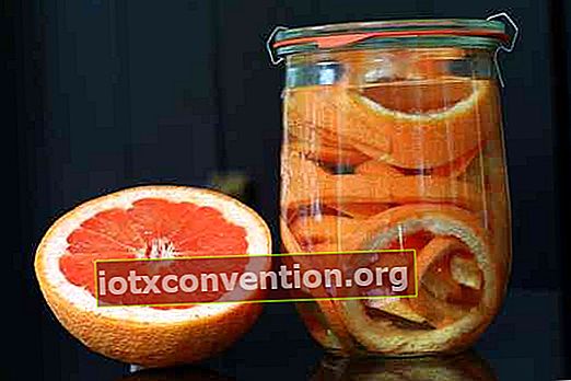น้ำส้มเพื่อไล่มด