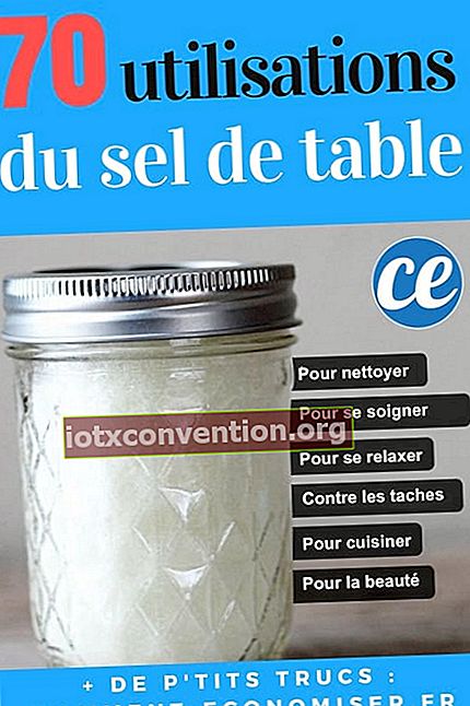 70 kegunaan dan tip dengan garam meja