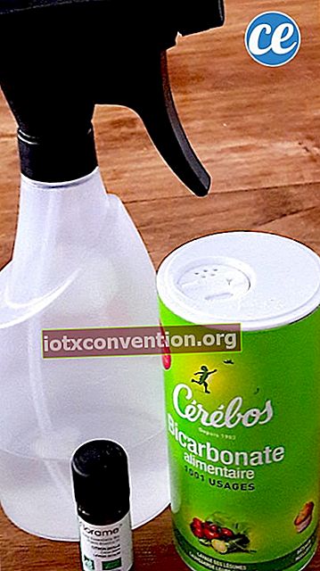 Deodoran DIY buatan sendiri dengan minyak pati dan baking soda