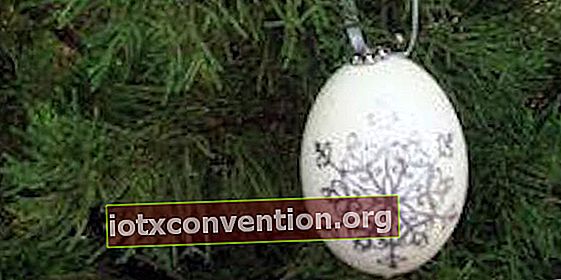Possiamo usare i gusci d'uovo come decorazione?