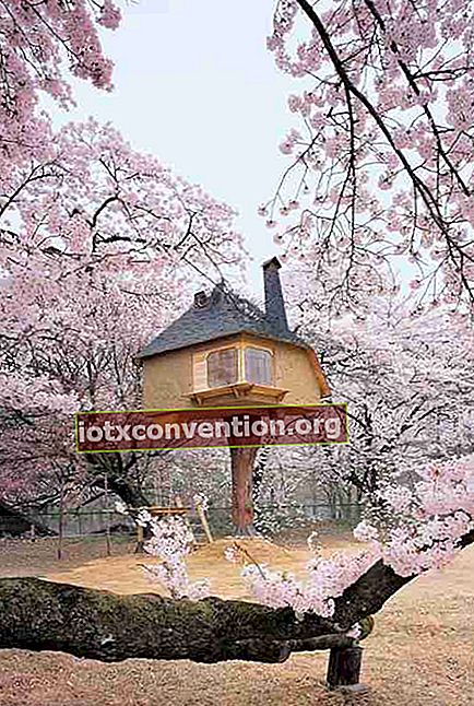 Teestube thront in den Bäumen in Japan