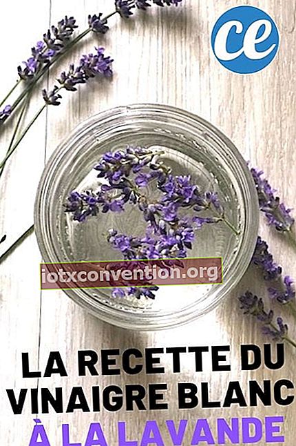 Ketahui cara perisa cuka putih dengan lavender