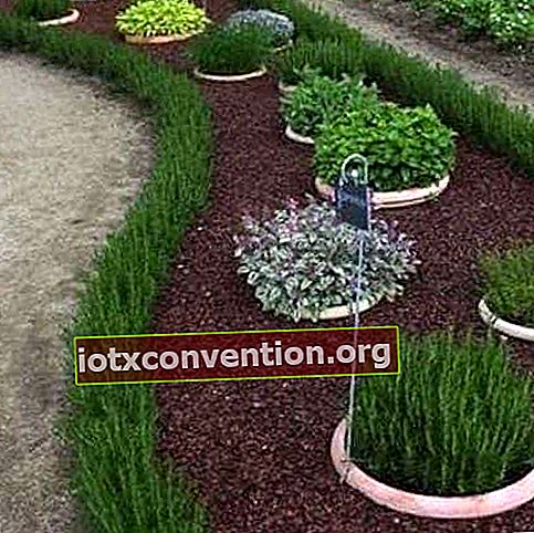 Con erba alta o piante puoi facilmente creare un bordo del giardino.