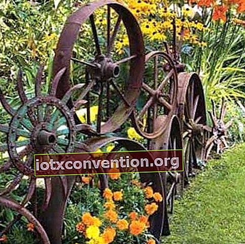 정원 경계에 대한 독창적 인 아이디어는 오래된 바퀴를 사용하는 것입니다.