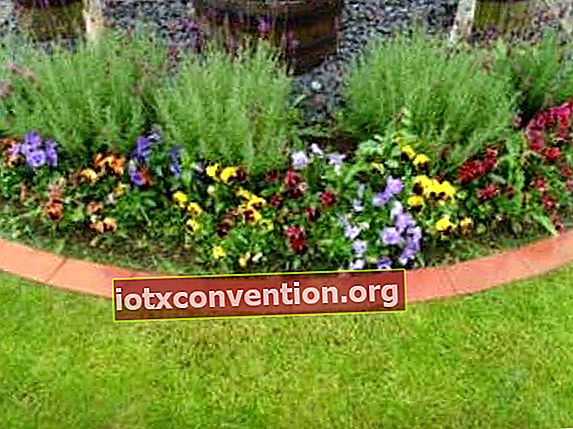 Un'idea facile ed economica per realizzare un bordo da giardino è usare la terracotta.