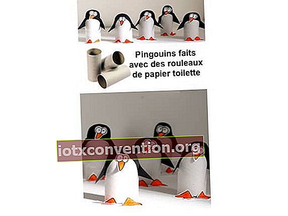 hausgemachte Pinguine mit PQ-Brötchen