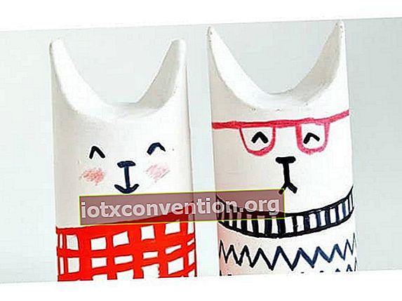 gatti di cartone in rotoli di carta igienica