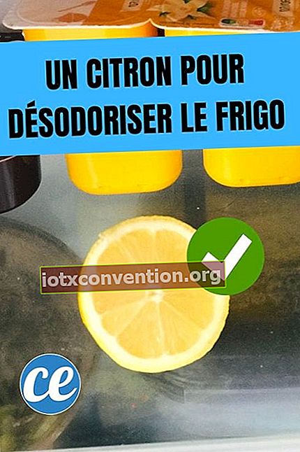 Eine halbe Zitrone im Kühlschrank, um sie zu desodorieren