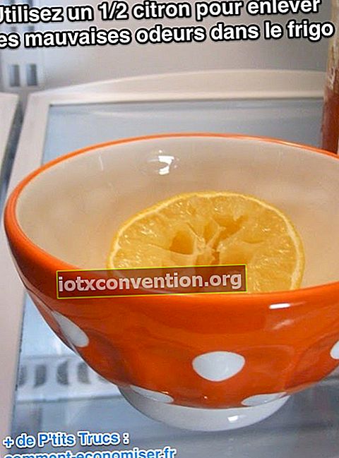 レモンの半分を使って冷蔵庫の臭いを取り除きます