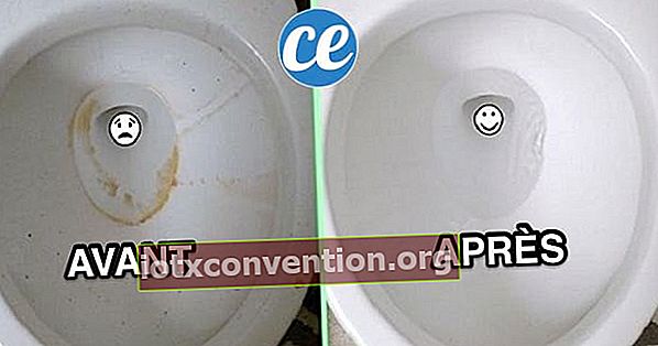 DIY och naturligt hemlagat rengöringsmedel för tvätt av toalettskålen