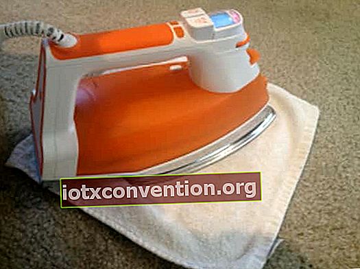 Usa la modalità vapore sul ferro e un panno umido per rimuovere le macchie dal tappeto.