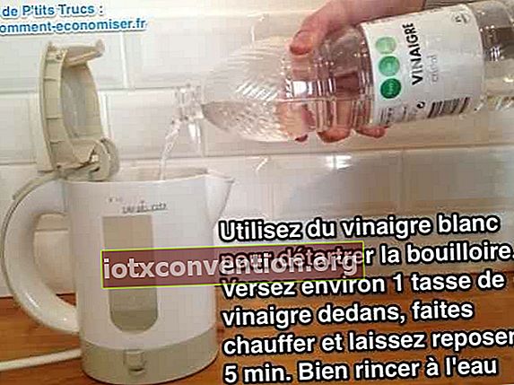 Använd vit vinäger för att avkalka vattenkokaren.