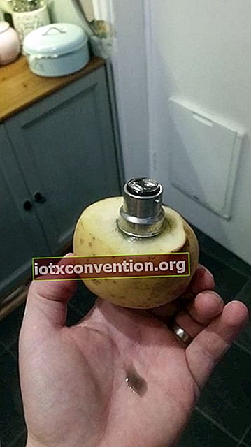 Eine Kartoffel, um eine kaputte Glühbirne abzuschrauben, ohne sich selbst zu verletzen