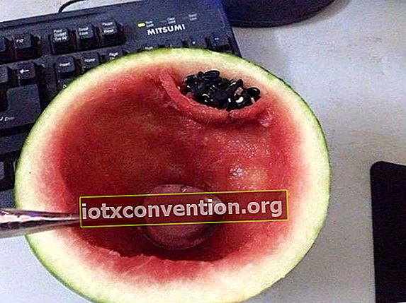 Die sauberste Art, Wassermelone zu essen