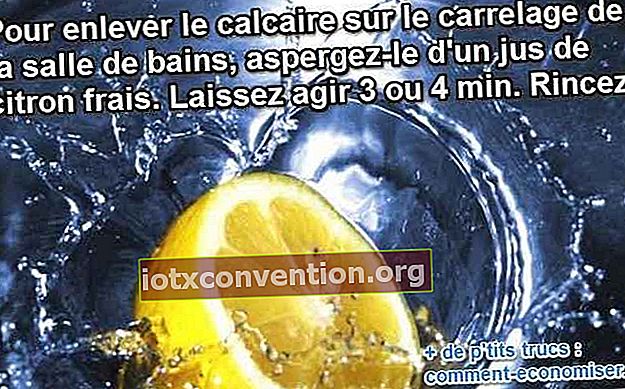 citron för att avlägsna kalk naturligt