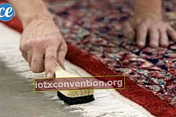 rengöra en matta med en borste