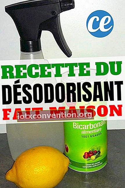 ein hausgemachtes Deodorant gegen schlechte Gerüche mit Backpulver und Zitrone