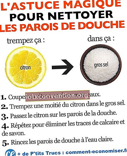 Lemon + garam kasar: trik MUDAH untuk membersihkan layar kaca shower.