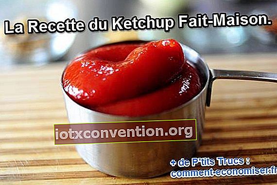 Ricetta di ketchup fatta in casa facile