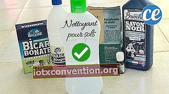 detergente per pavimenti e disinfettante