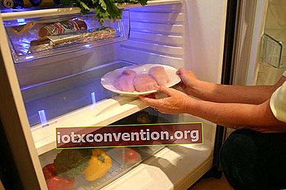 Conserva carne e frutti di mare sul fondo del frigorifero