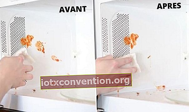 Hapus proyeksi dalam microwave dengan spons ajaib
