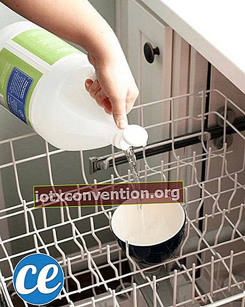 Tangan menuangkan cuka putih ke mesin basuh pinggan mangkuk.