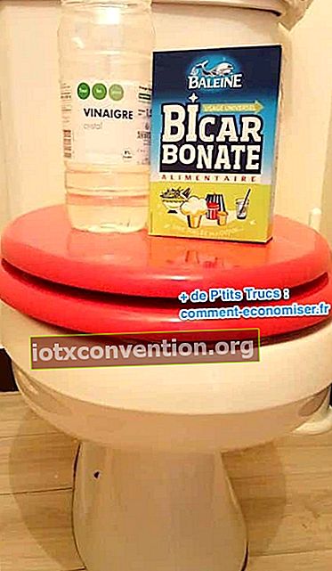 pulire facilmente la toilette bicarbonato di sodio aceto bianco