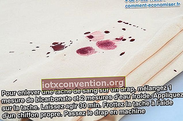 Backpulver-Blutfleck entfernen: Um einen Blutfleck von einem weißen Blatt zu entfernen, verwenden Sie Backpulver