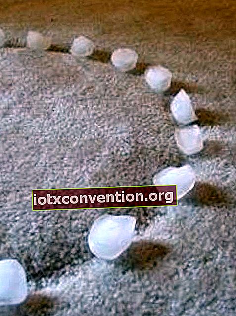 Visste du att isbitar får möbelmärken på mattor att försvinna?