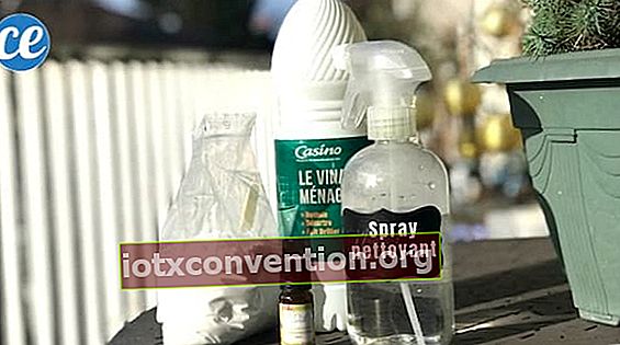 Päckchen Backpulver, Flasche weißer Essig und Sprühflasche auf einem Gartentisch