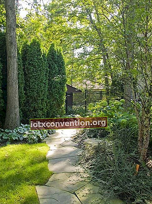 Försköna din trädgård med en stenbana.