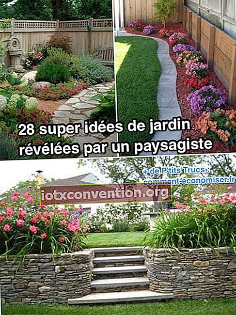 Vilka är de bästa idéerna för trädgårdslandskap, att ha ett perfekt exteriör?