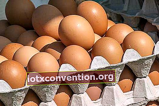 non mettere le uova nel microonde