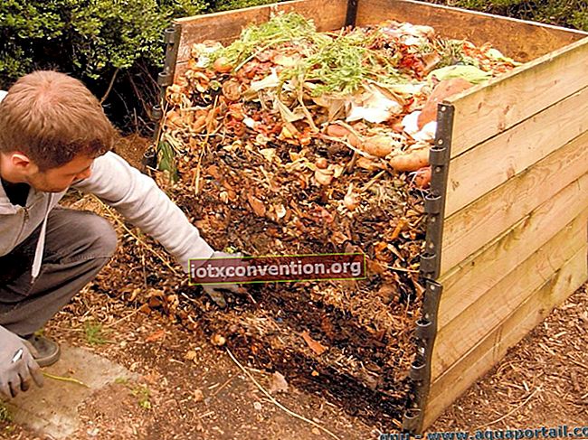 Cara Memupuk Tanah Di Kebun Sayur Anda TANPA Membuat Kompos.