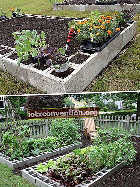 buat batas kotak sayuran dengan balok beton