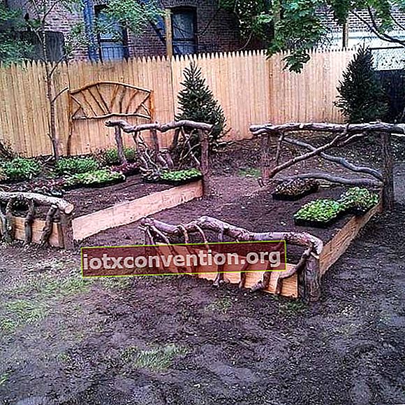 katil bingkai kayu kebun sayur
