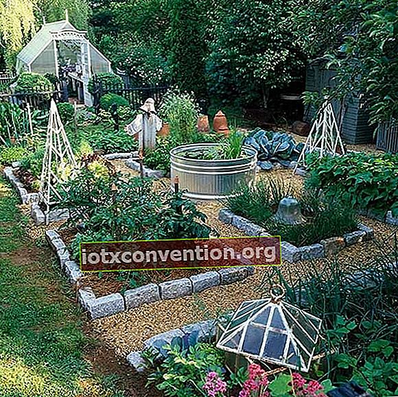 cara membuat kebun sayur persegi