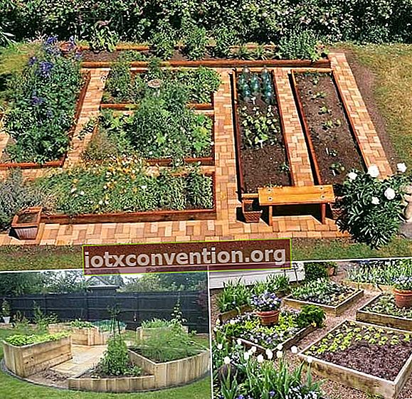 bagaimana mengatur kebun sayur anda dengan jalan bata