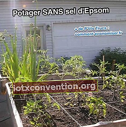 エプソム塩を使用しない菜園の別の例