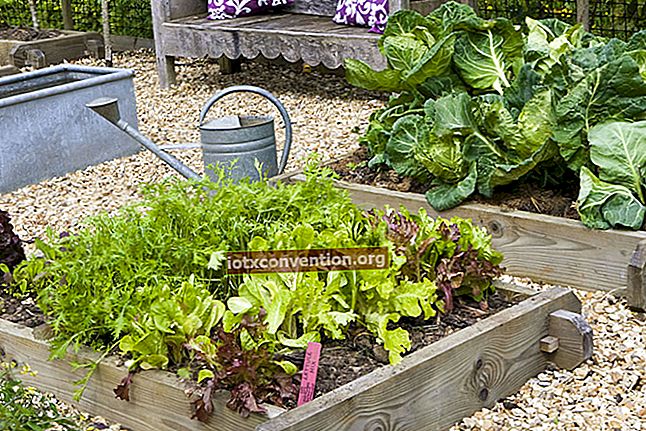 Der praktische Leitfaden zum Kombinieren von Gemüse aus Ihrem Garten.
