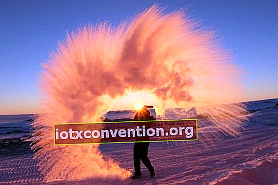 คนกำลังขว้างชาร้อนในอาร์กติก