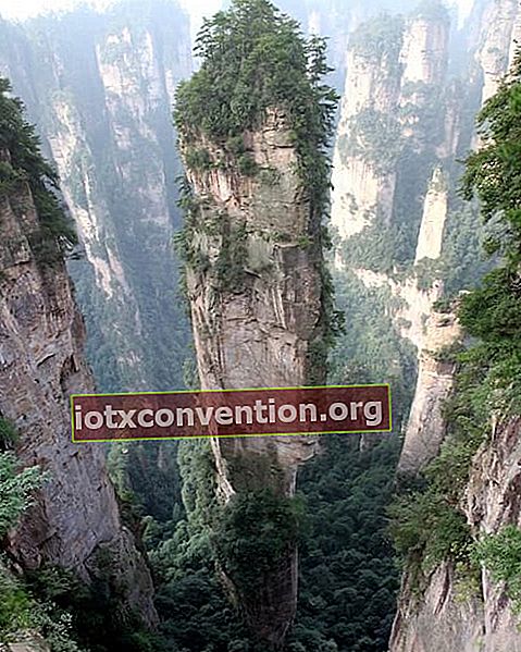 Pemandangan gunung Tianzi menyerupai di film Avatar