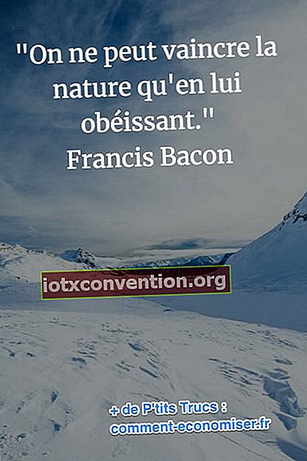 citazione di Francis Bacon sul potere della natura