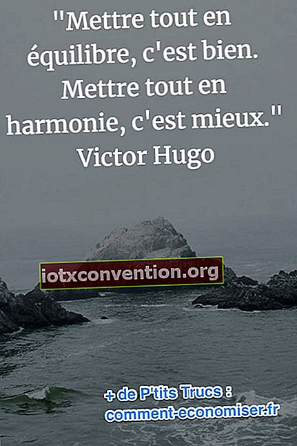 Victor Hugo citazione sull'armonia e l'equilibrio della vita