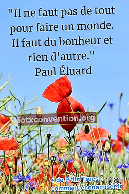 Citazione di felicità di Paul Eluard