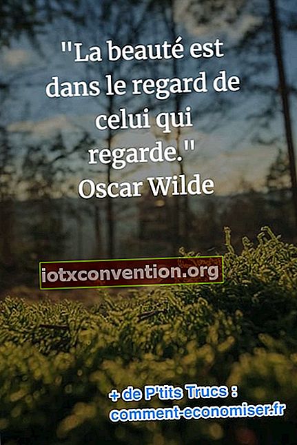 Oscar Wilde Zitat über Schönheit